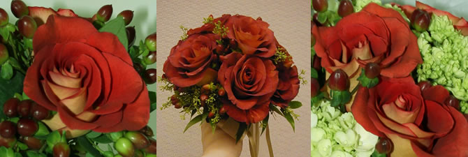 leonidas roses care tips graphic